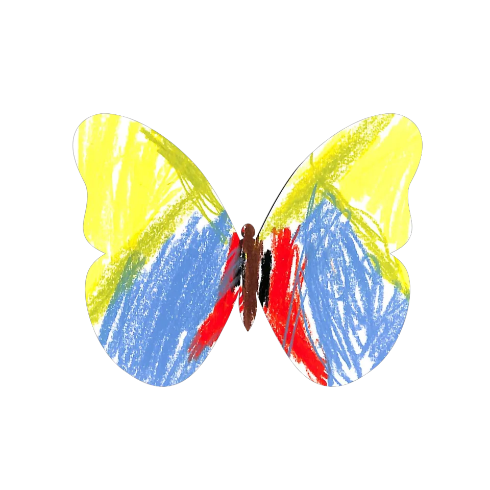 Original Butterfly Image