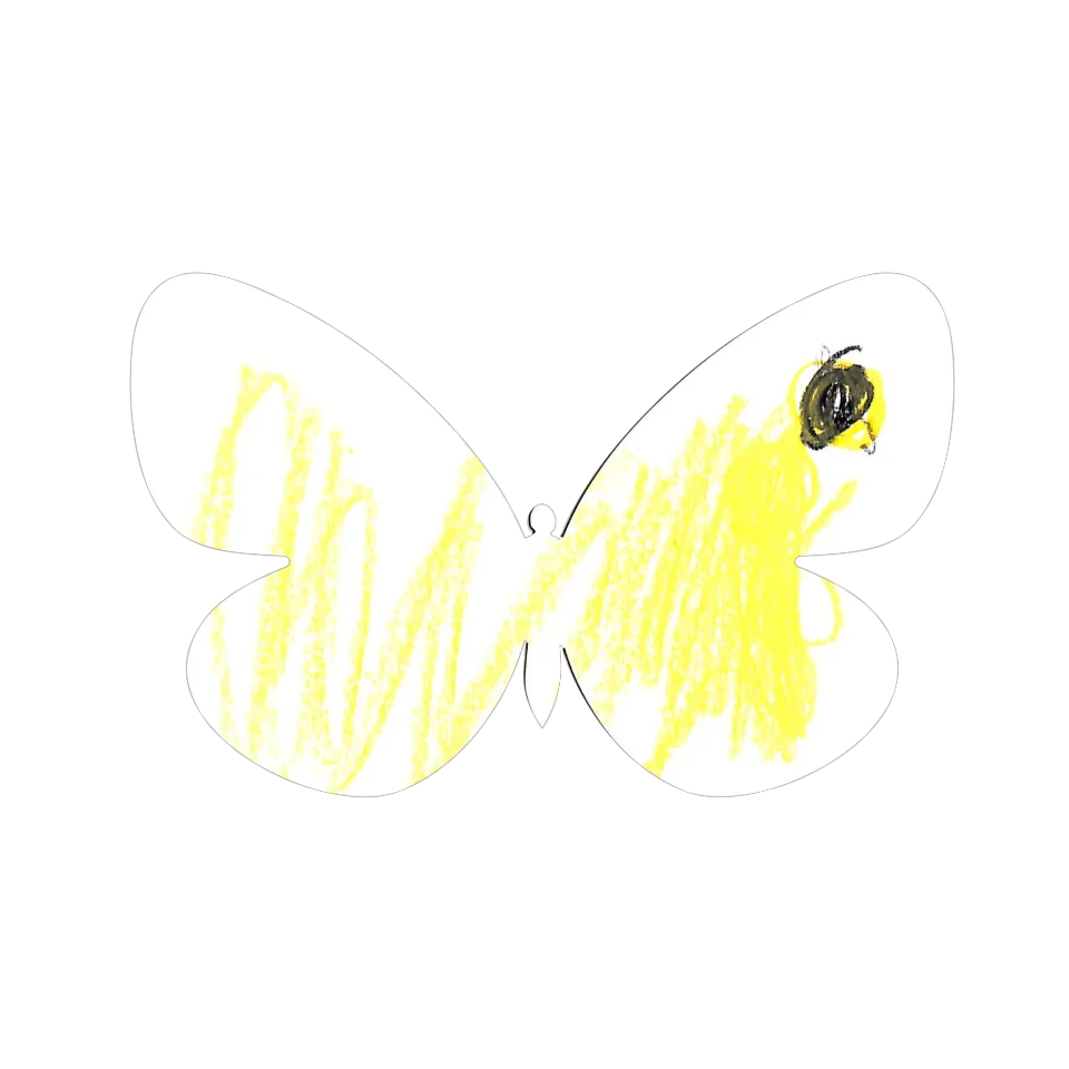 Original Butterfly Image