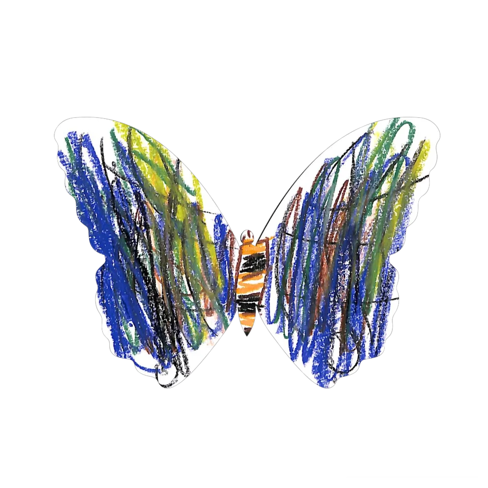Original Butterfly Image