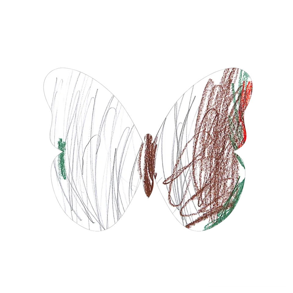 Original Butterfly Image