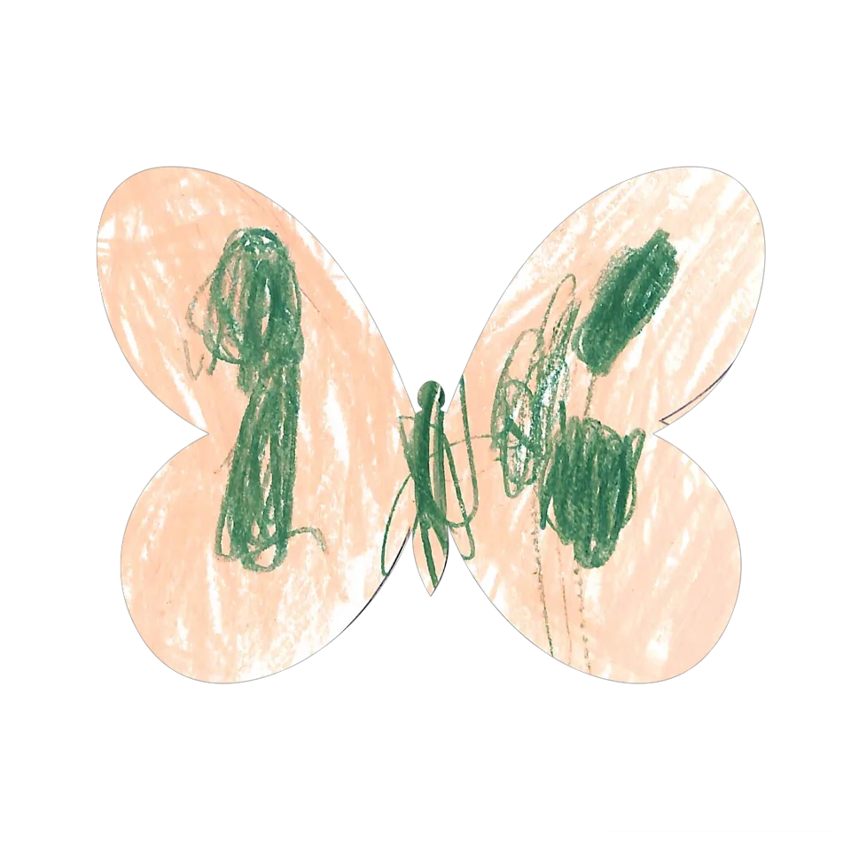 Original Butterfly Image