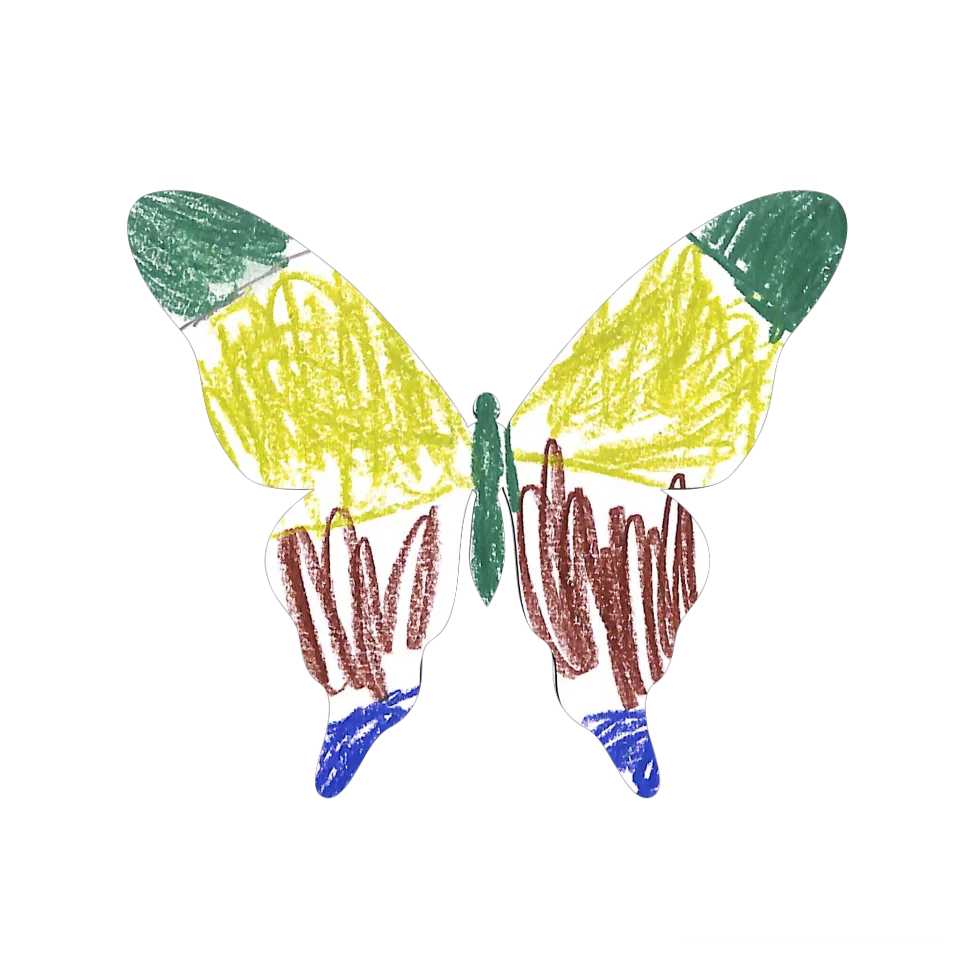 Original Butterfly Image