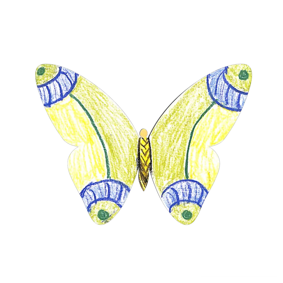 Original Butterfly Image