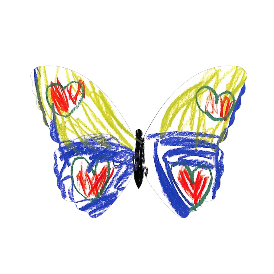 Original Butterfly Image