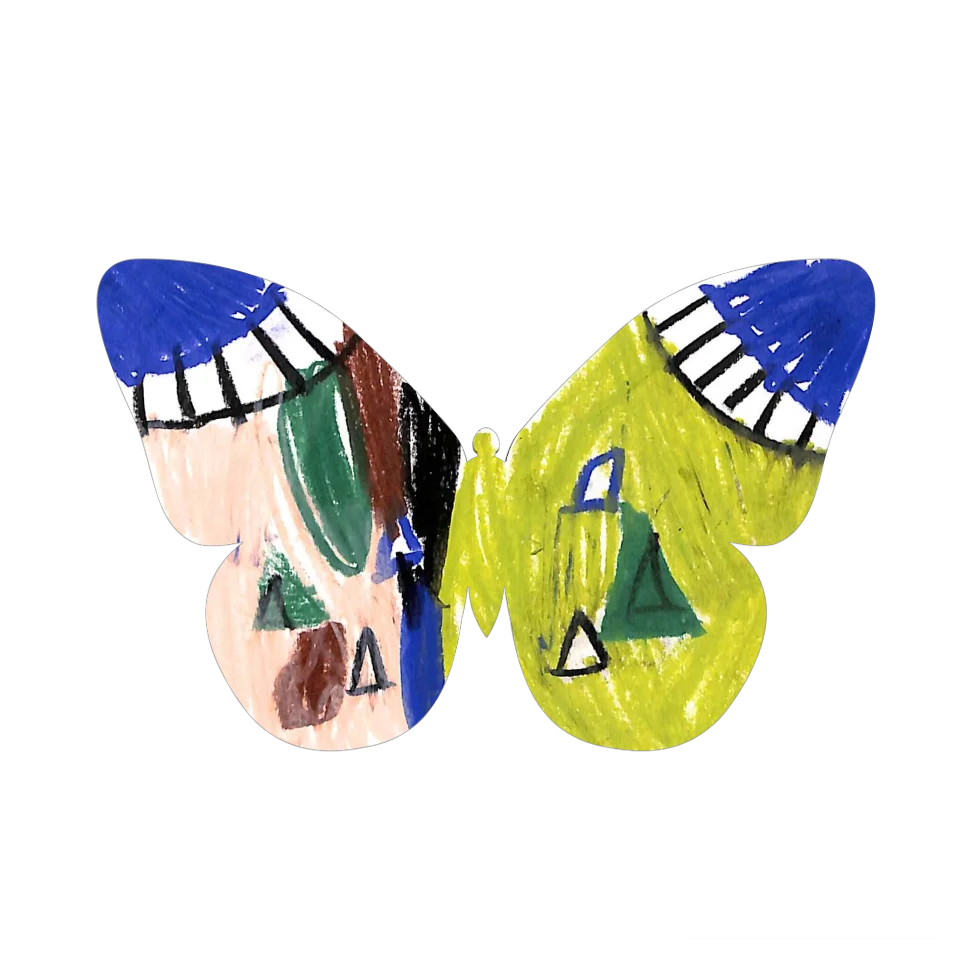 Original Butterfly Image