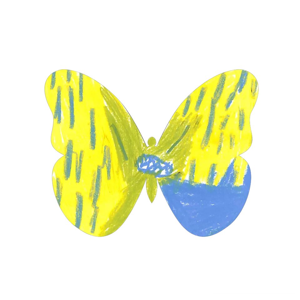 Original Butterfly Image