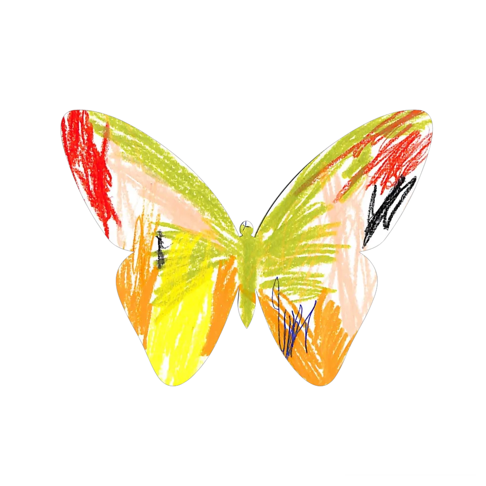 Original Butterfly Image