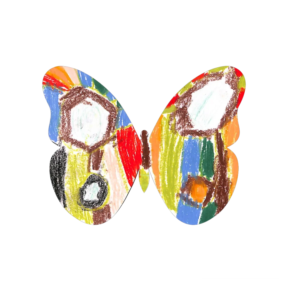 Original Butterfly Image