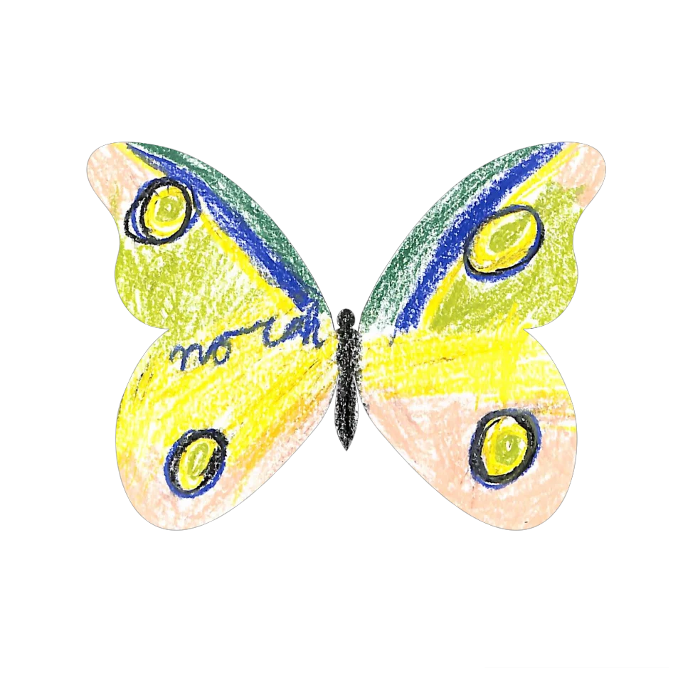 Original Butterfly Image
