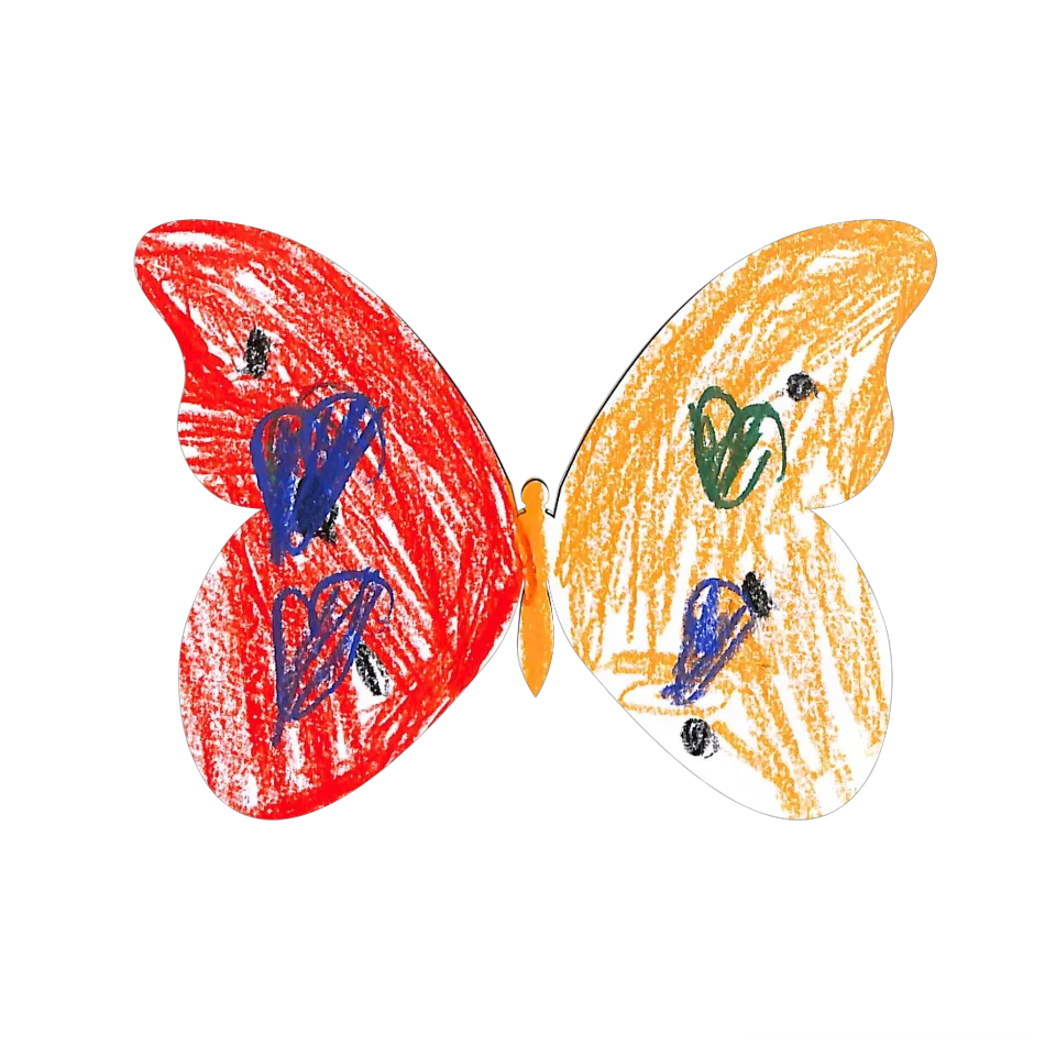 Original Butterfly Image