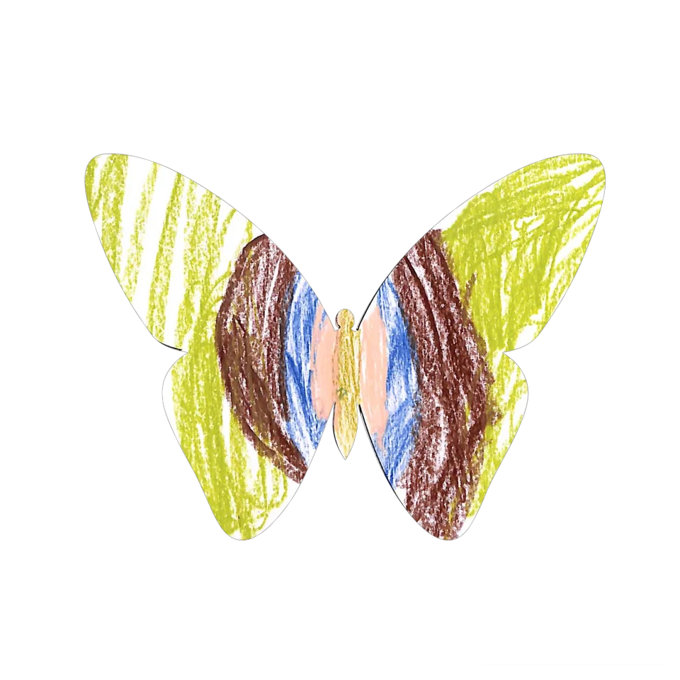 Original Butterfly Image