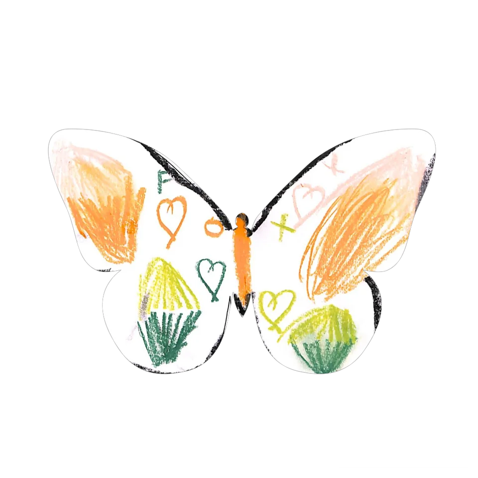 Original Butterfly Image