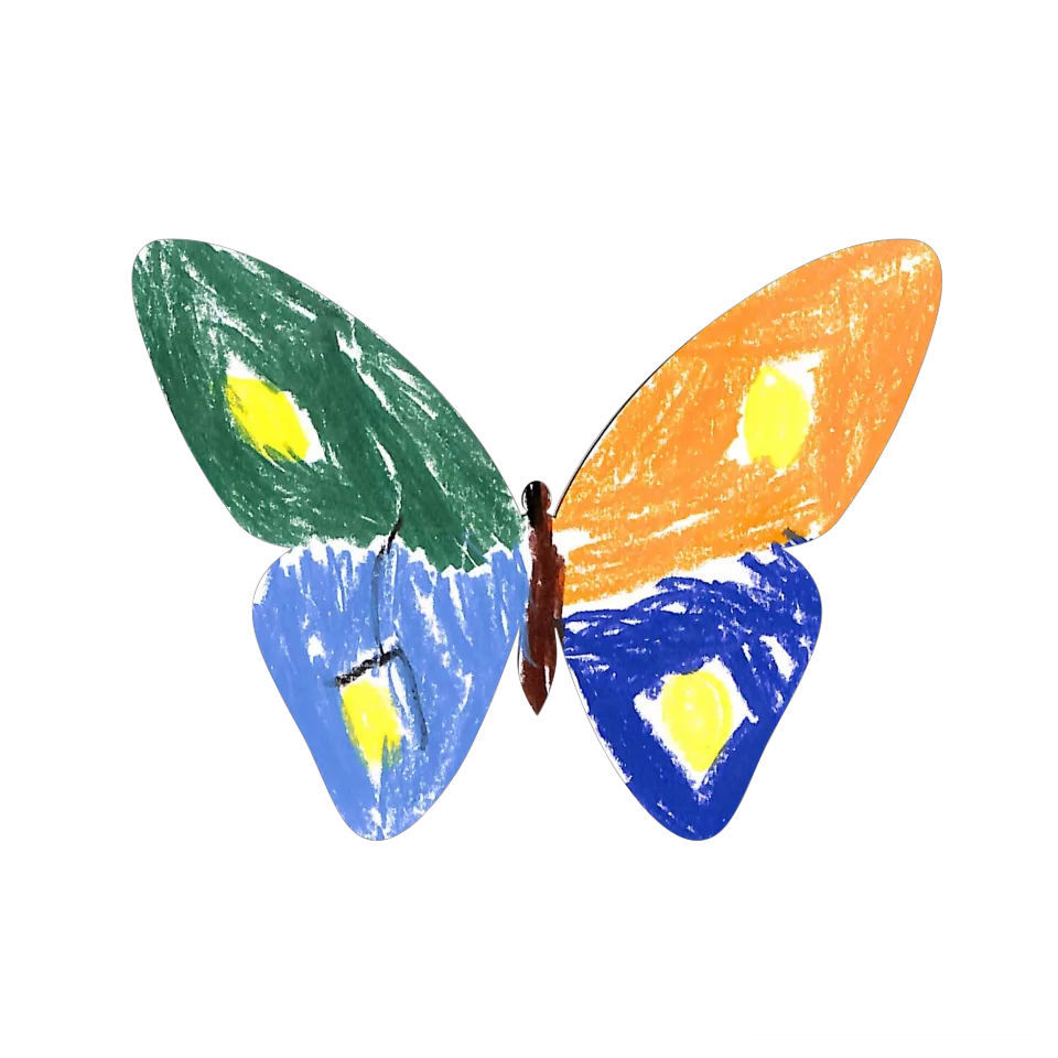 Original Butterfly Image
