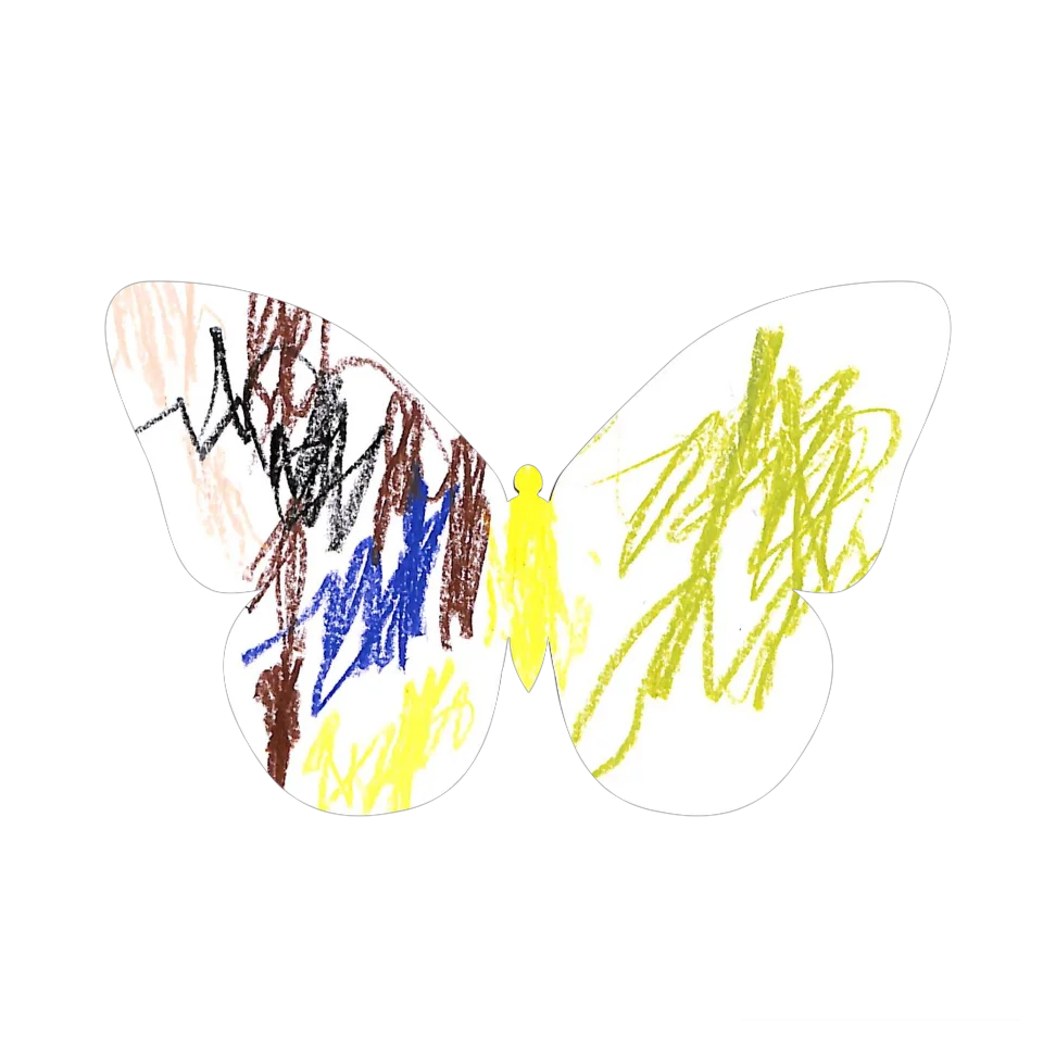 Original Butterfly Image