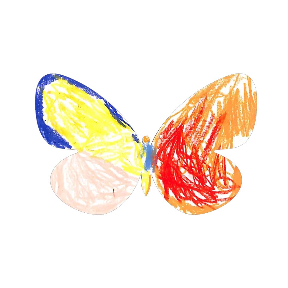 Original Butterfly Image