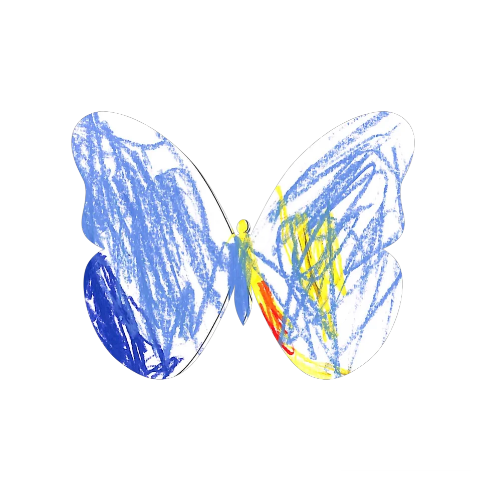 Original Butterfly Image