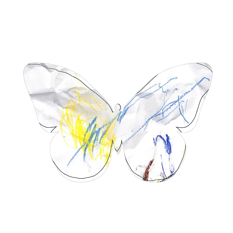 Original Butterfly Image