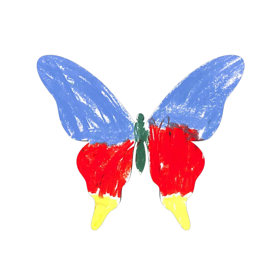 Original Butterfly Image