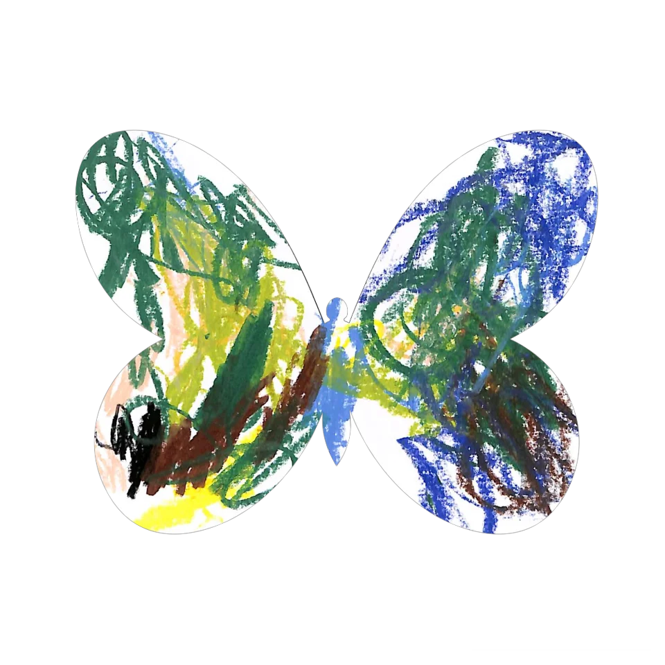 Original Butterfly Image