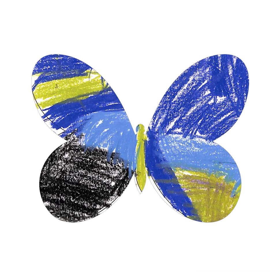 Original Butterfly Image