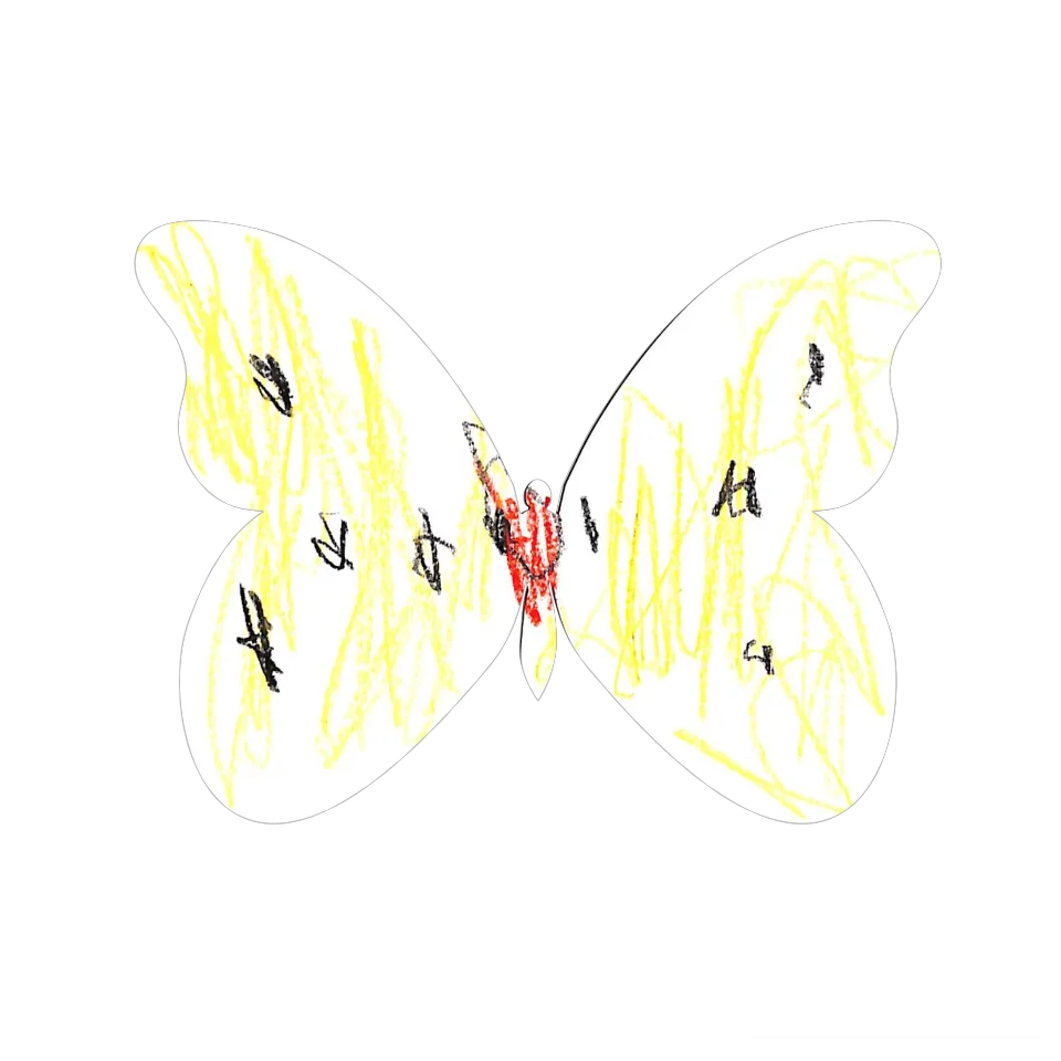 Original Butterfly Image