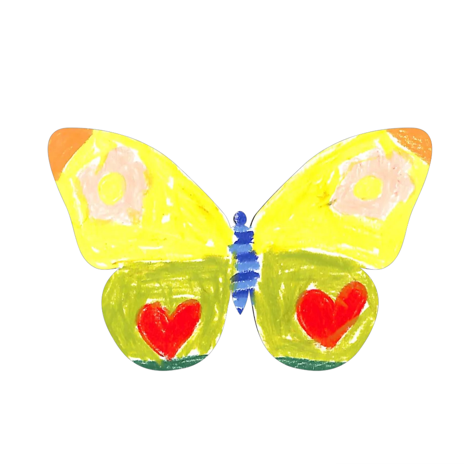 Original Butterfly Image