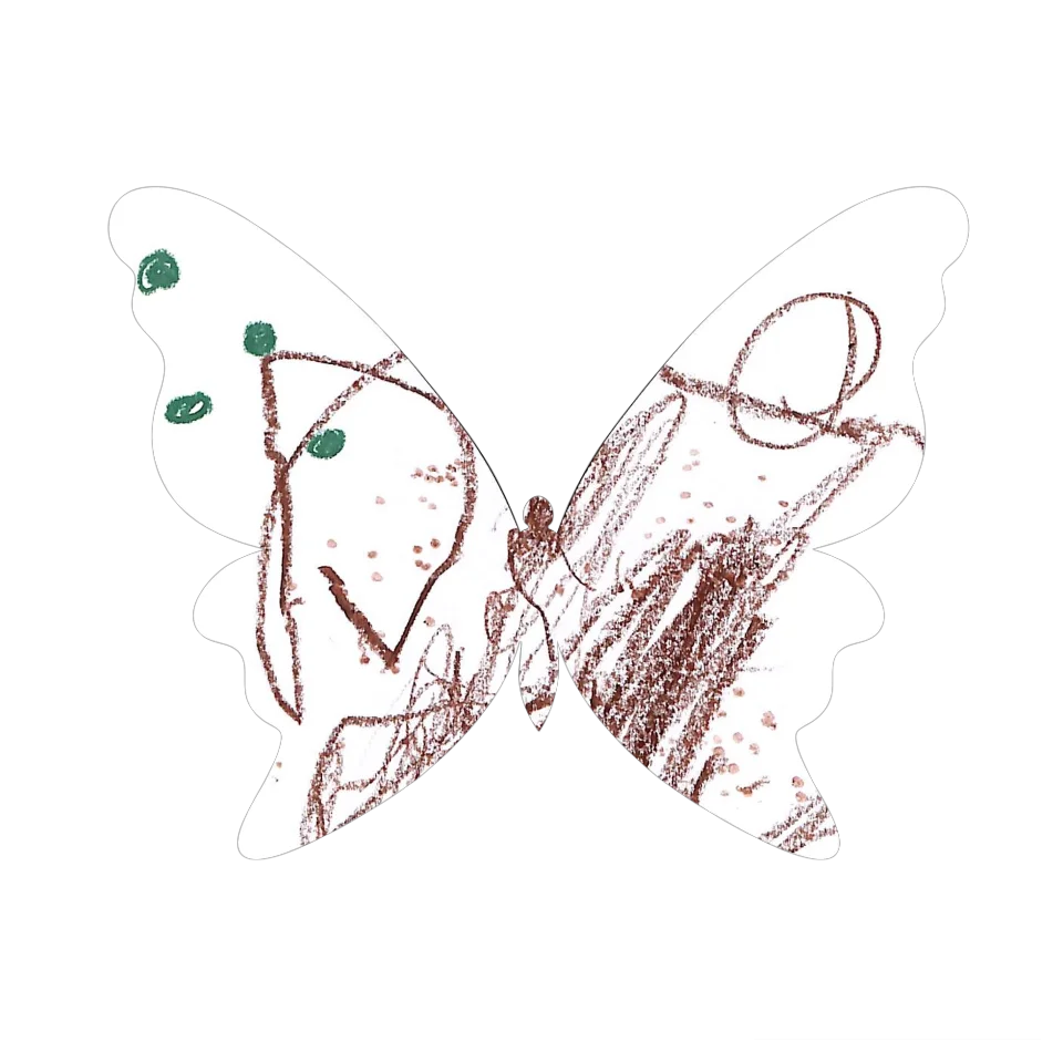 Original Butterfly Image