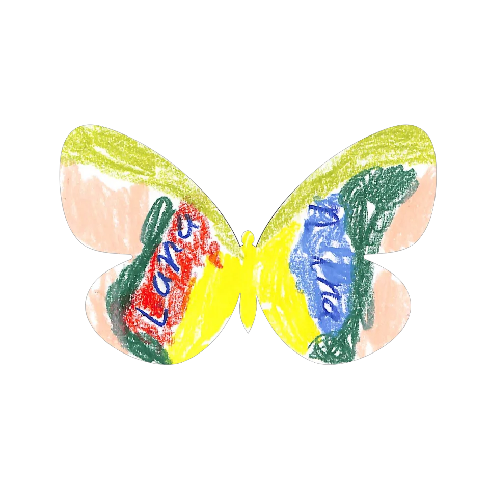 Original Butterfly Image