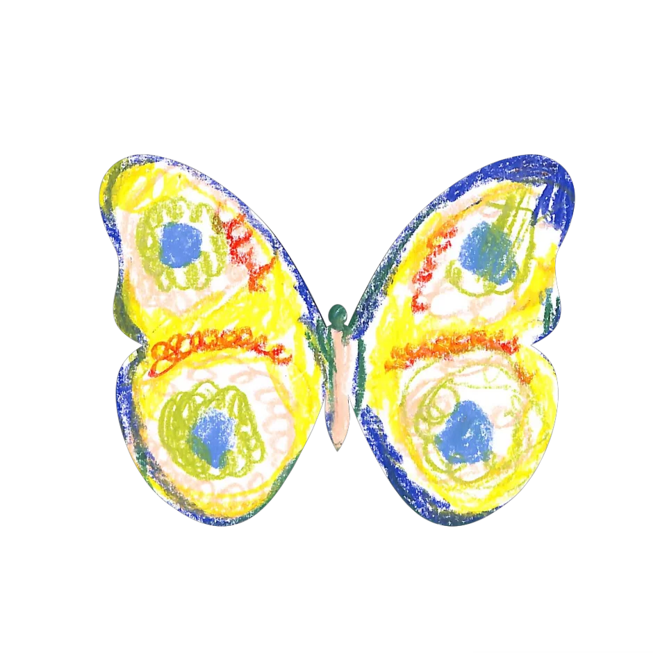 Original Butterfly Image
