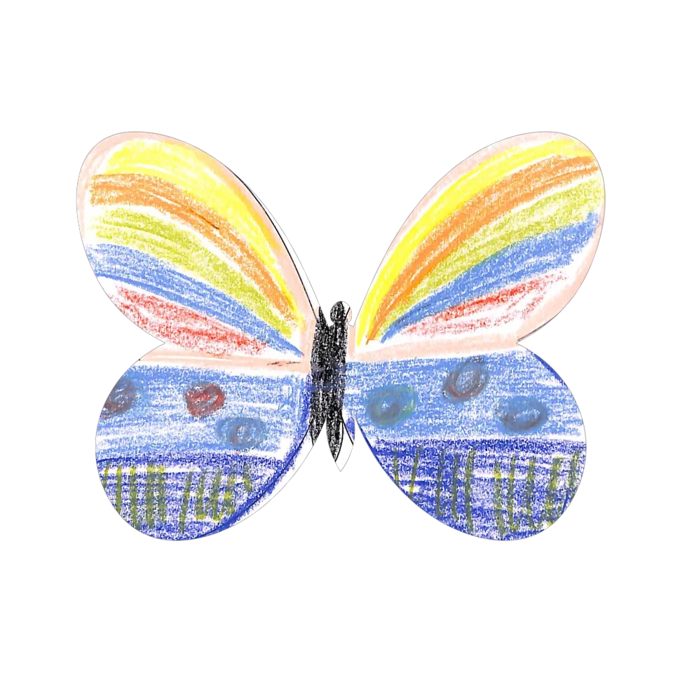 Original Butterfly Image