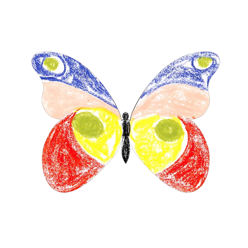 Original Butterfly Image