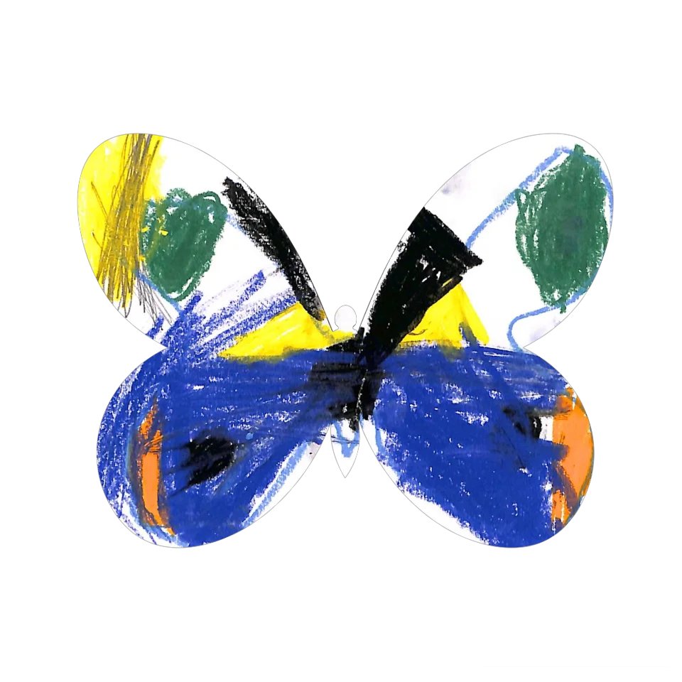 Original Butterfly Image