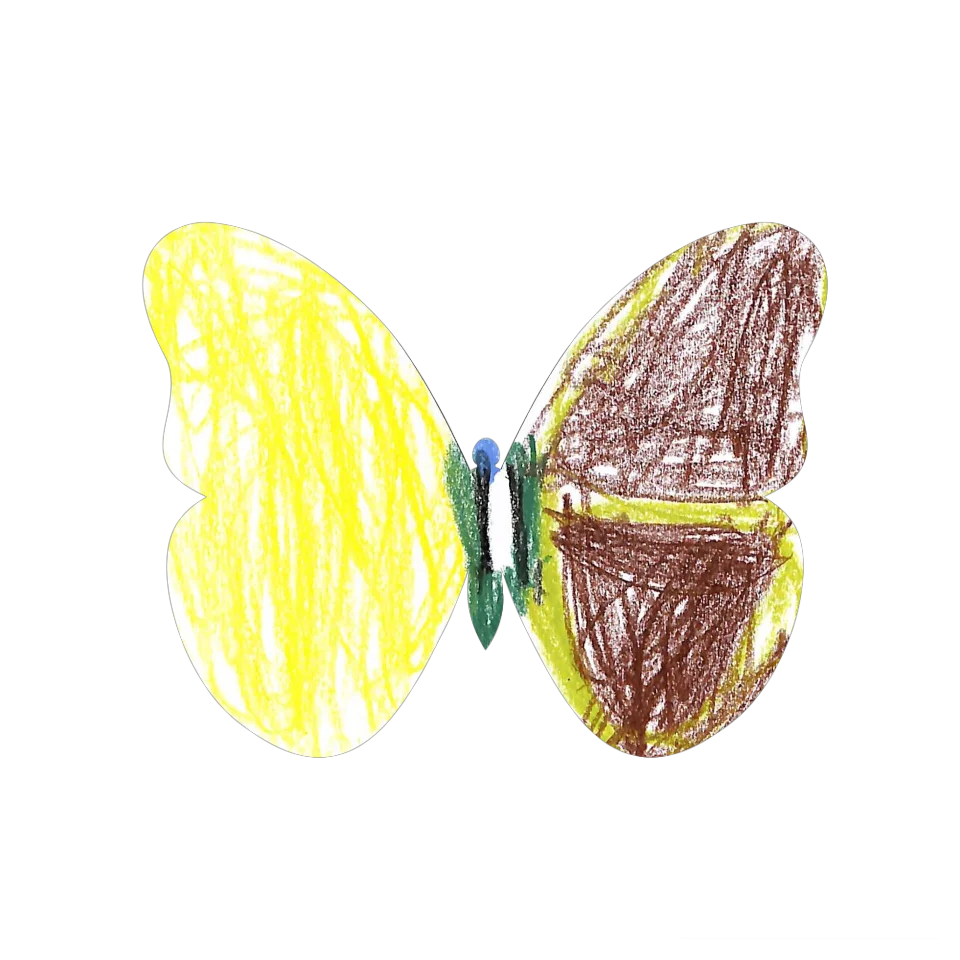 Original Butterfly Image