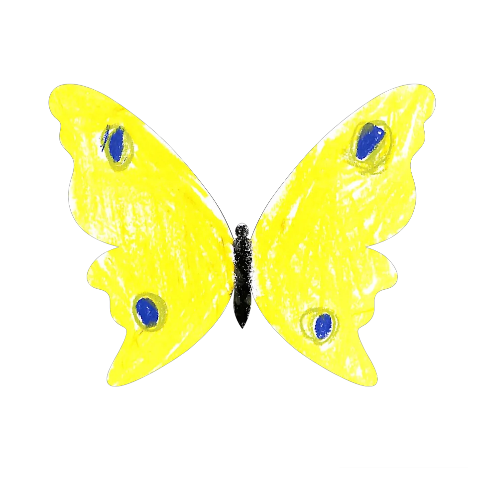 Original Butterfly Image
