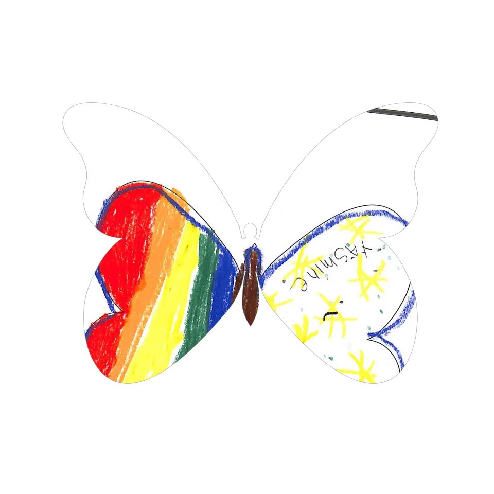 Original Butterfly Image