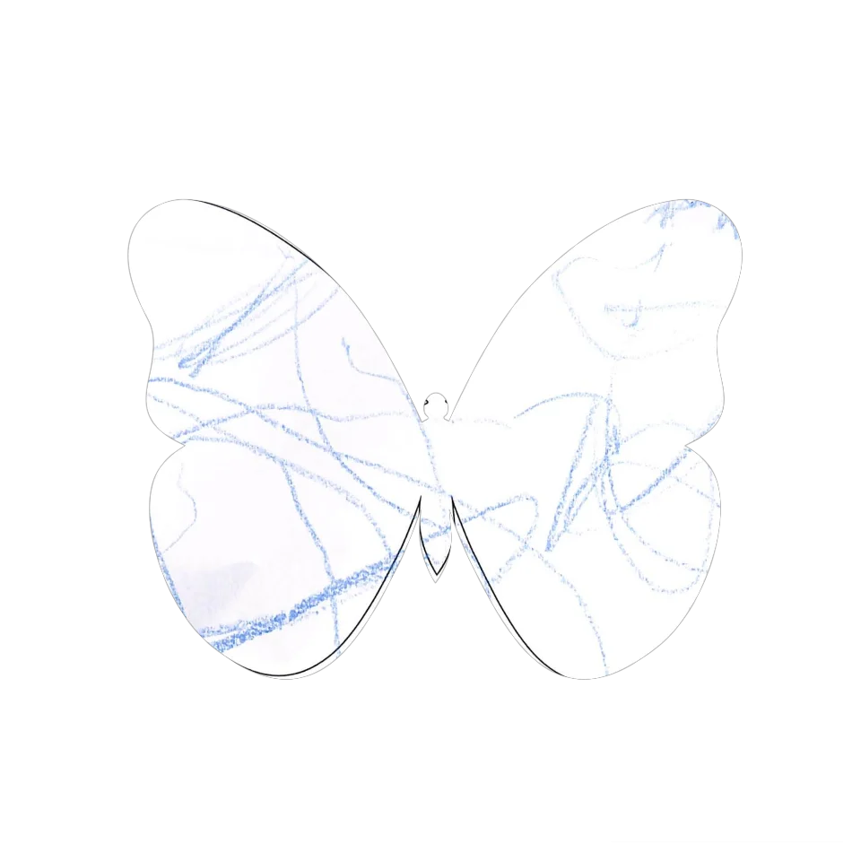 Original Butterfly Image