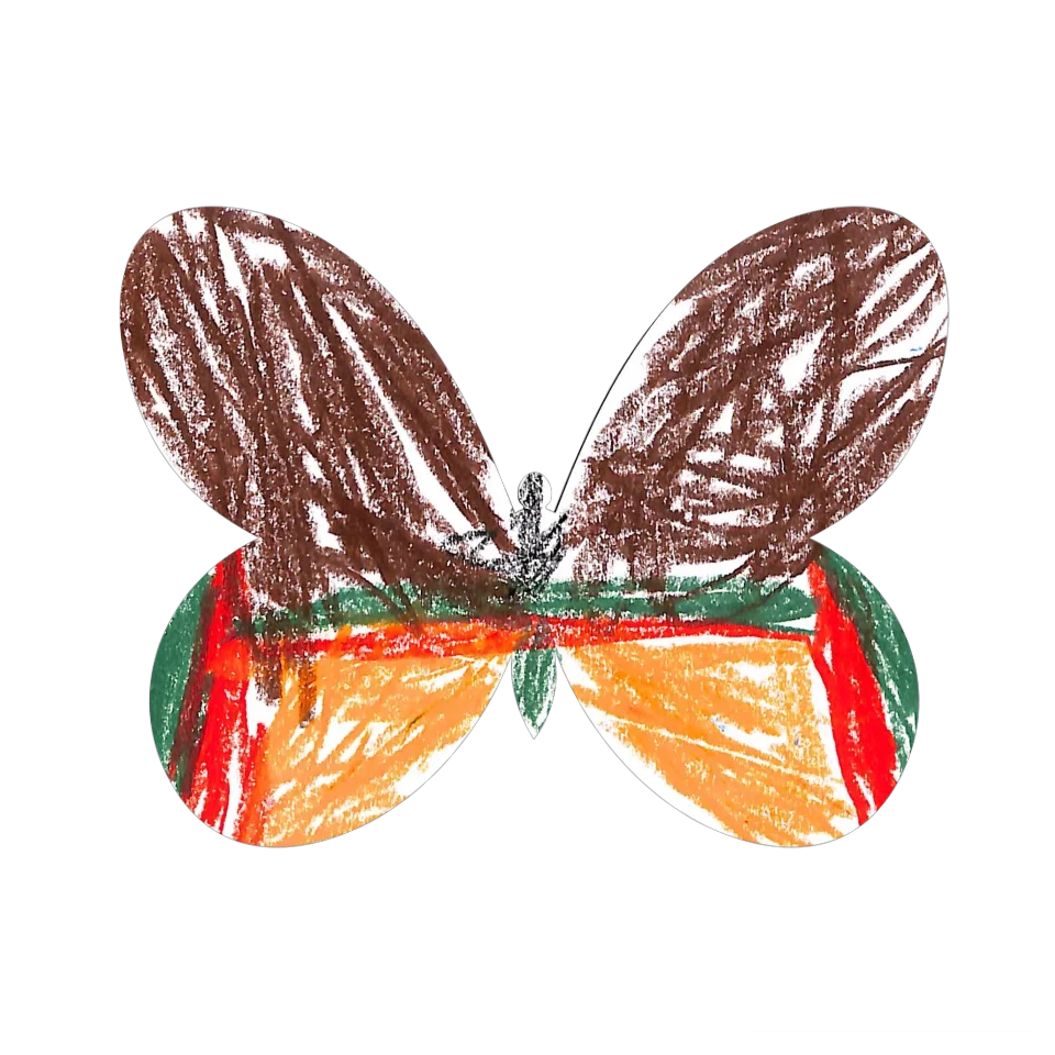Original Butterfly Image