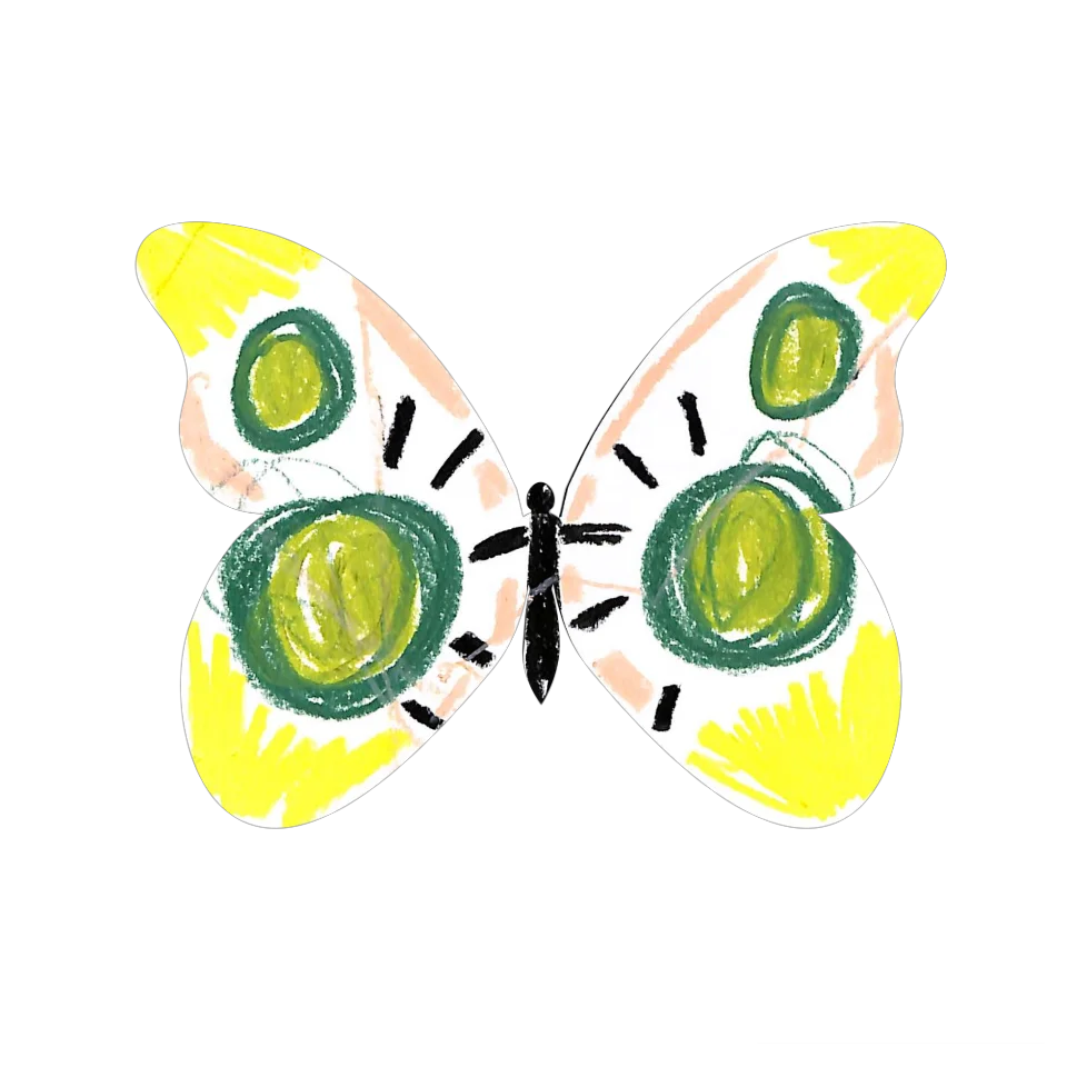 Original Butterfly Image