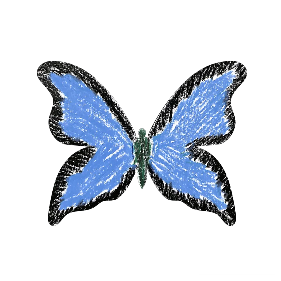 Original Butterfly Image