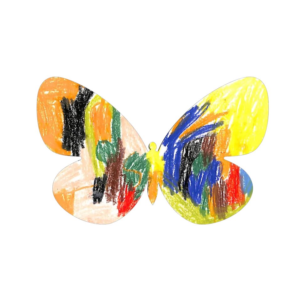 Original Butterfly Image