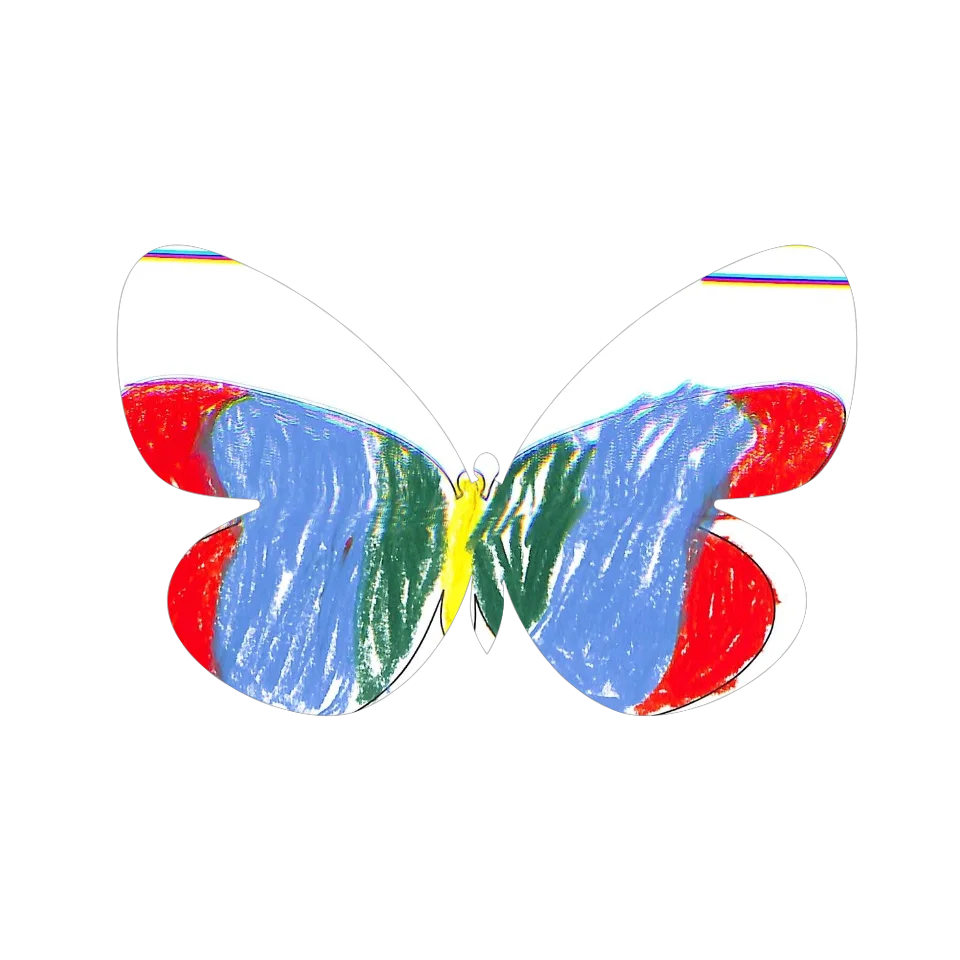 Original Butterfly Image