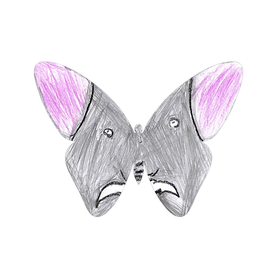 Original Butterfly Image