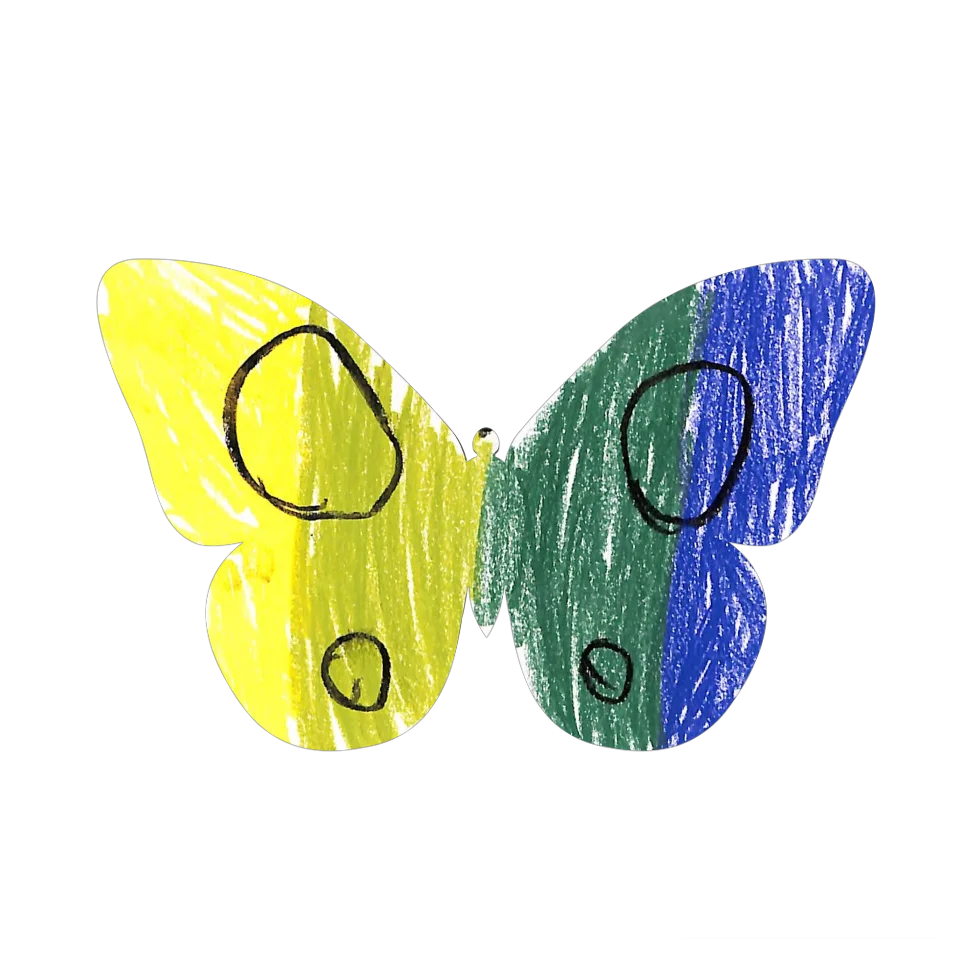 Original Butterfly Image
