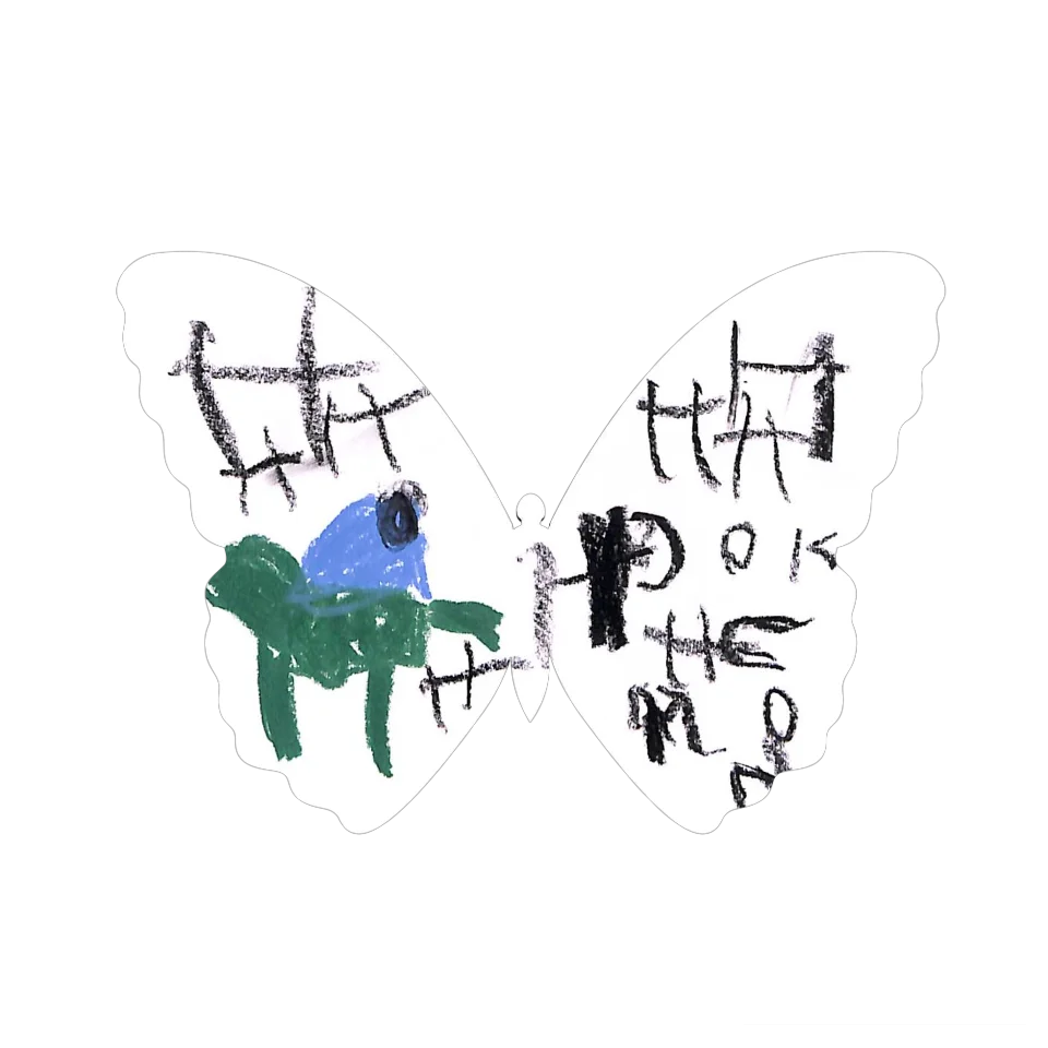 Original Butterfly Image