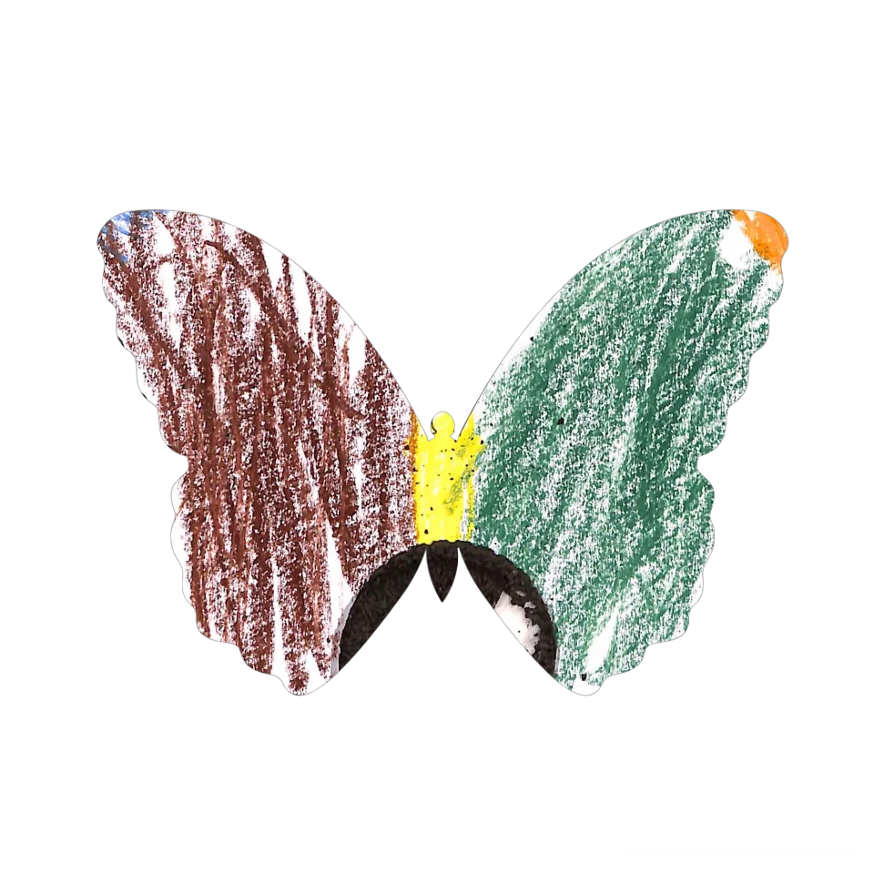 Original Butterfly Image