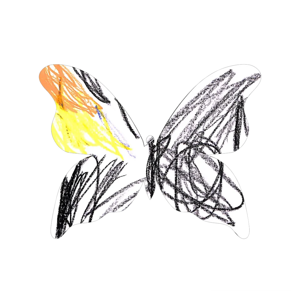 Original Butterfly Image