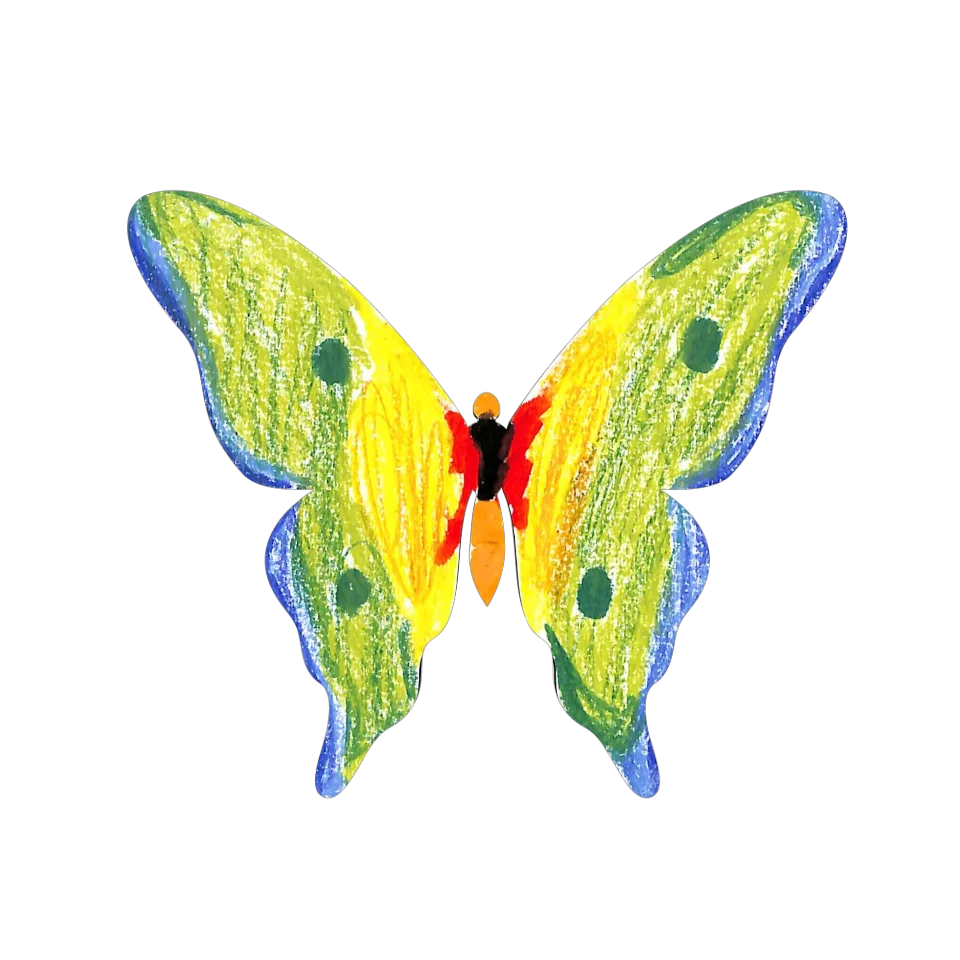 Original Butterfly Image