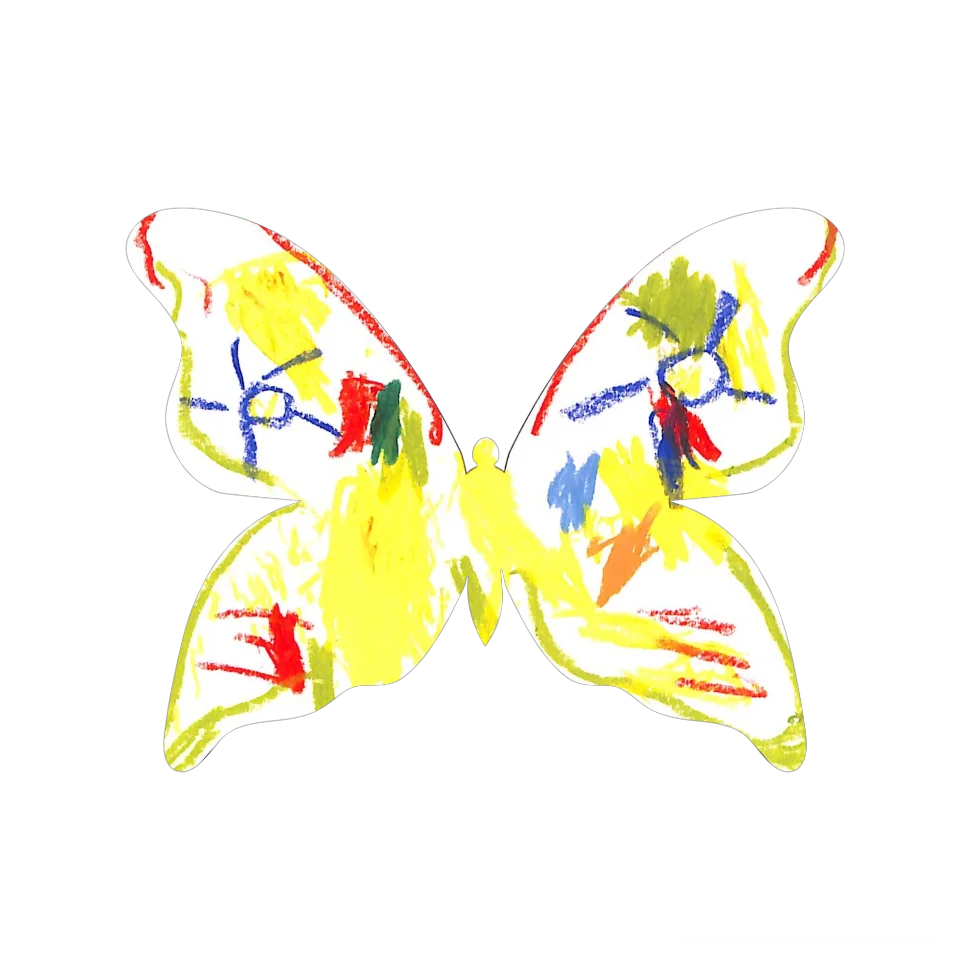 Original Butterfly Image