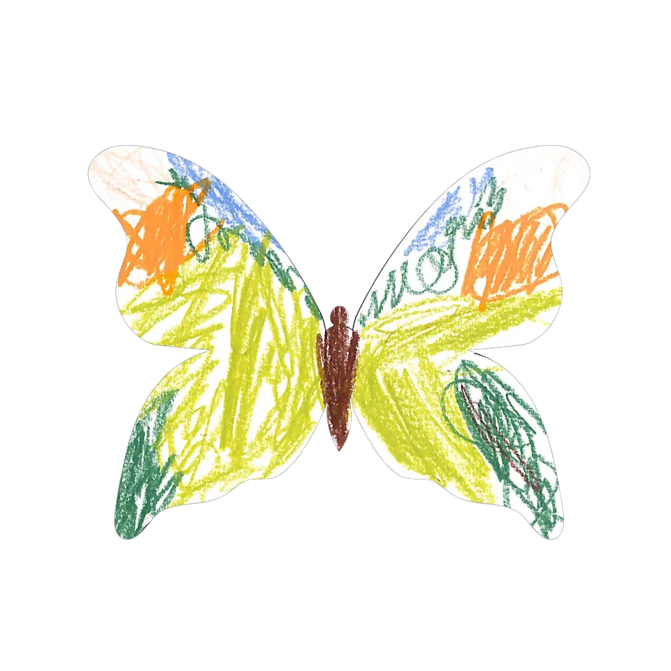 Original Butterfly Image