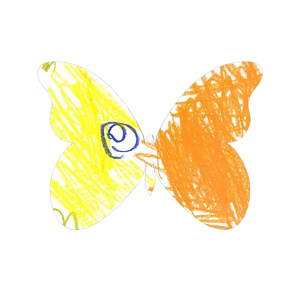 Original Butterfly Image